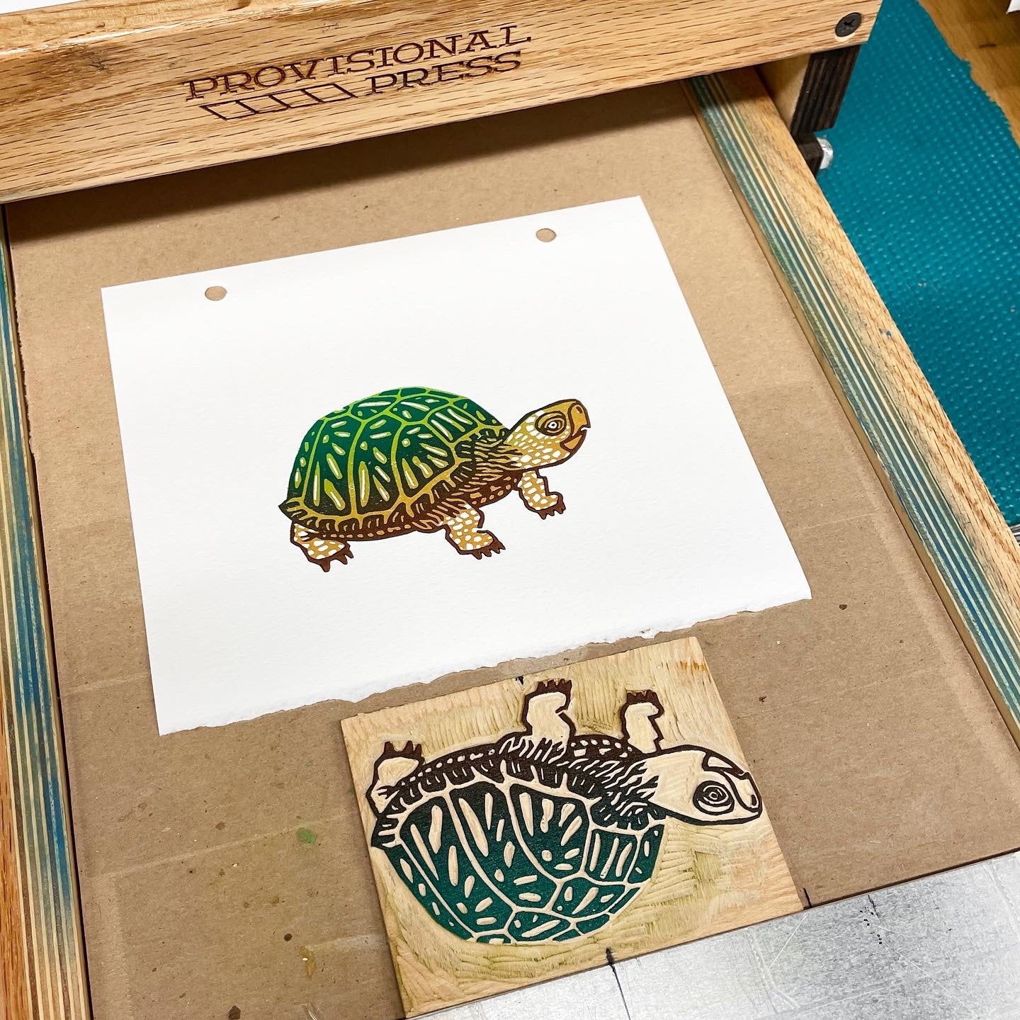 Take It Slow Turtle - woodblock print (5x7")