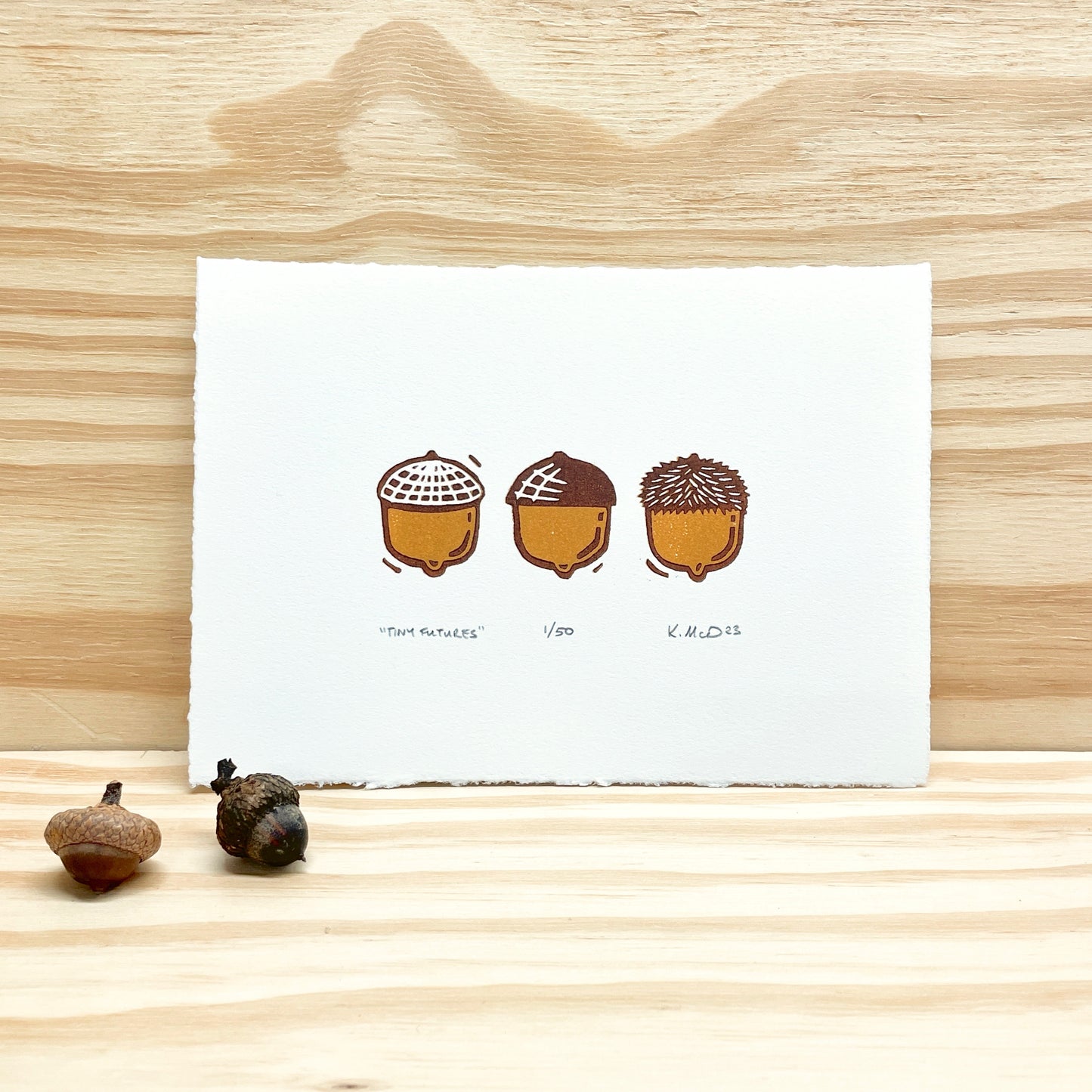 Tiny Futures Acorns - woodblock print (5x7")