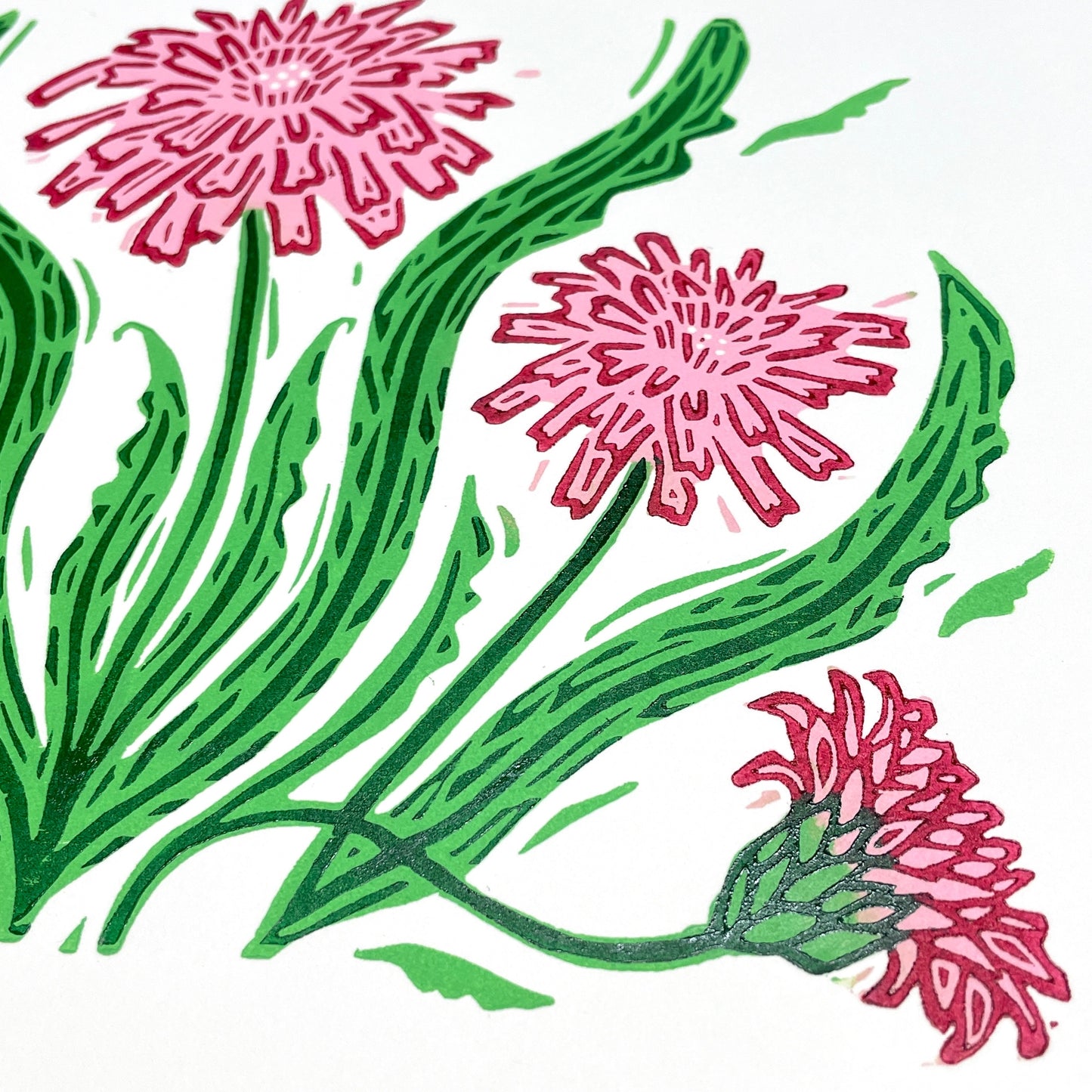 Pink Dandelion - woodblock print (9x12")