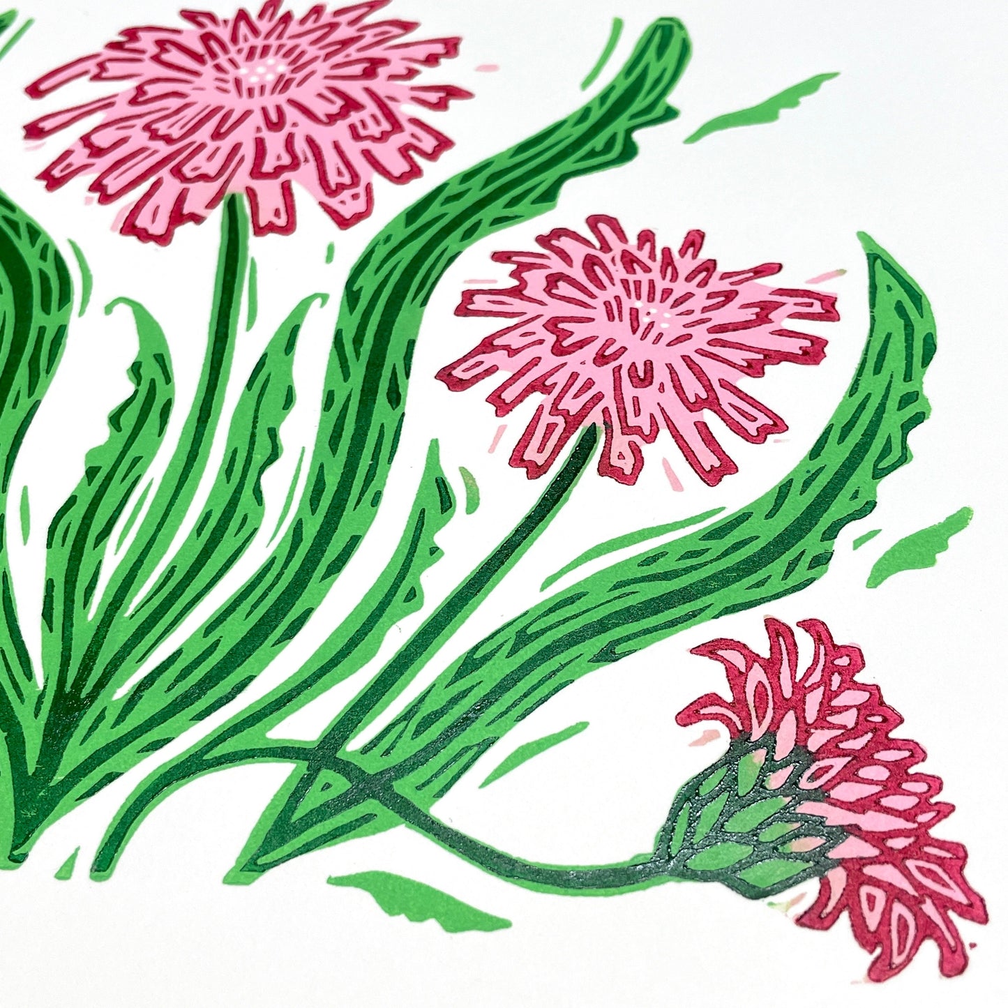 Pink Dandelion FRAMED - woodblock print (11x14")