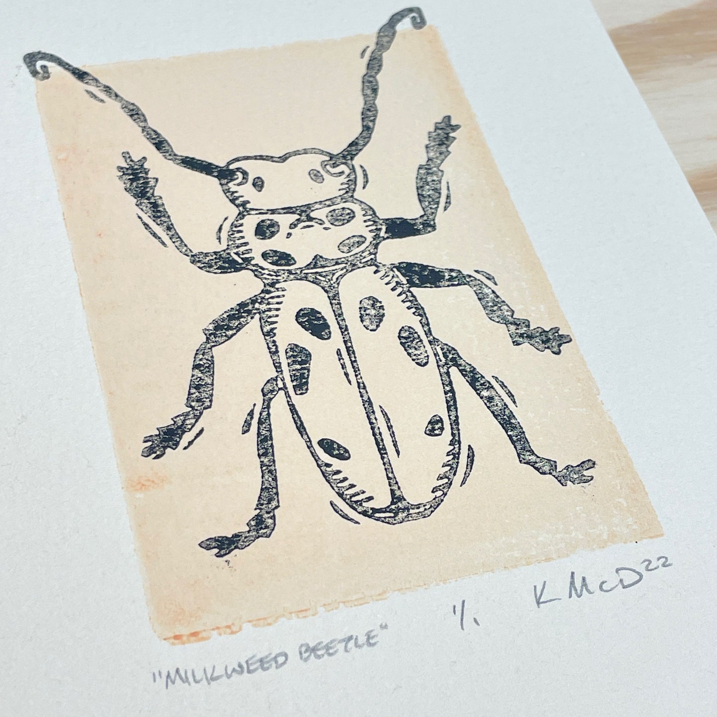 Milkweed Beetle GHOST PRINT - woodblock print (5x7")