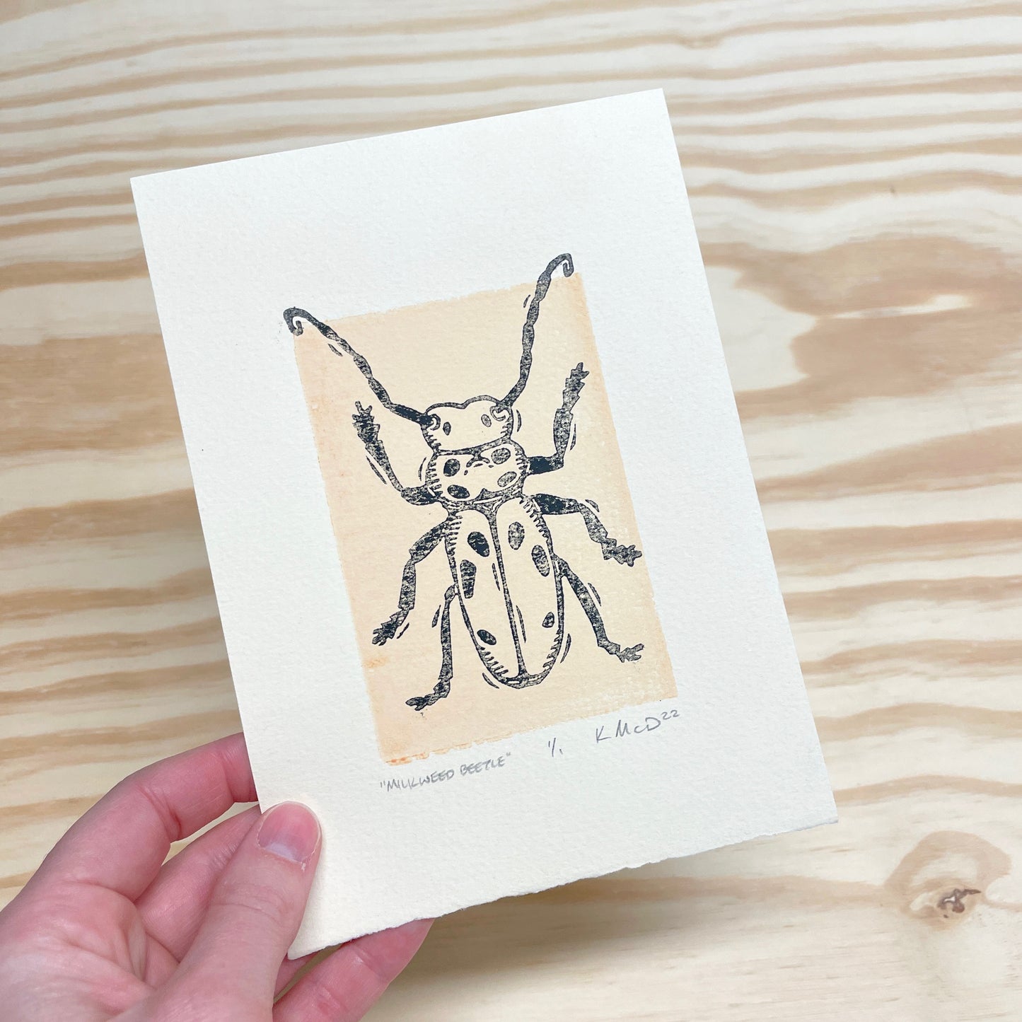 Milkweed Beetle GHOST PRINT - woodblock print (5x7")