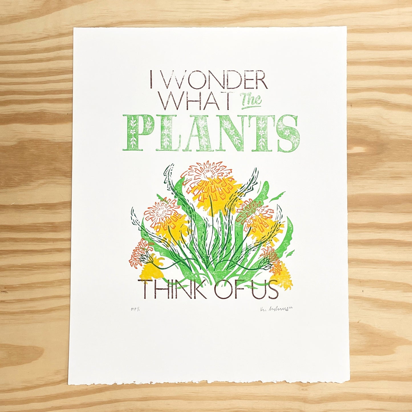 I Wonder What the Plants Think of Us MISPRINT - woodblock and letterpress print (14x18")