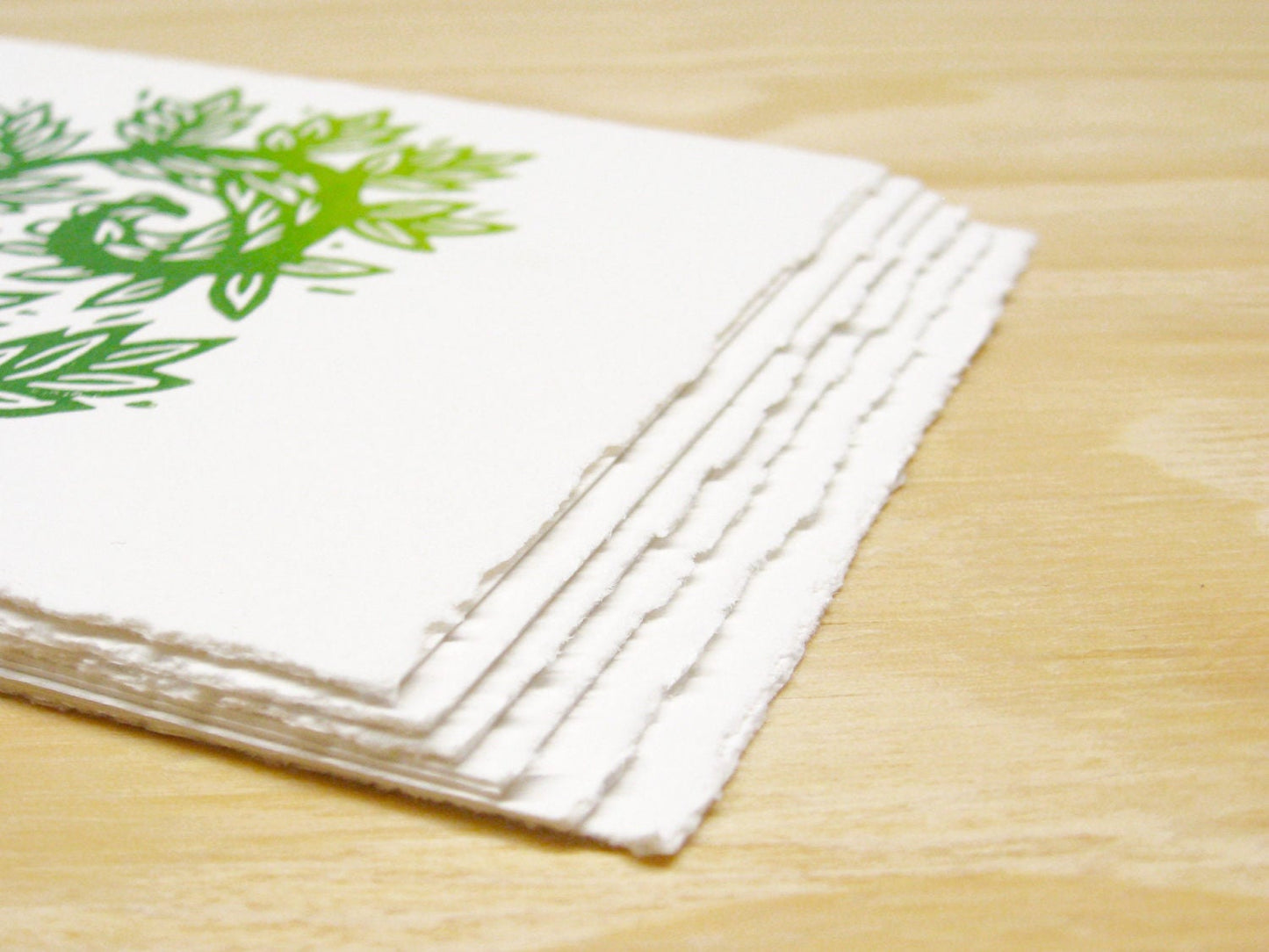 Fiddlehead Fern 6-pack cards - woodblock printed