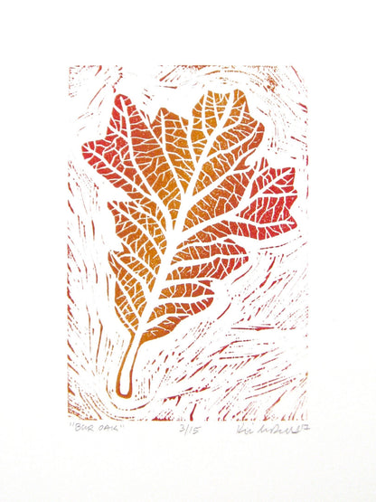 Bur Oak leaf FRAMED - woodblock print (11x14”)