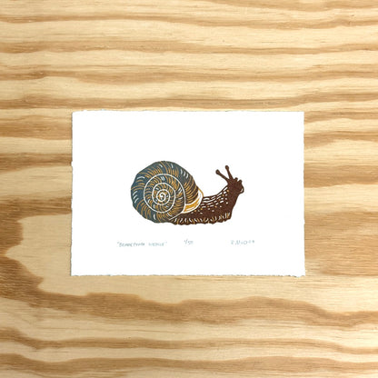 Bladetooth Wedge Snail - woodblock print (5x7")