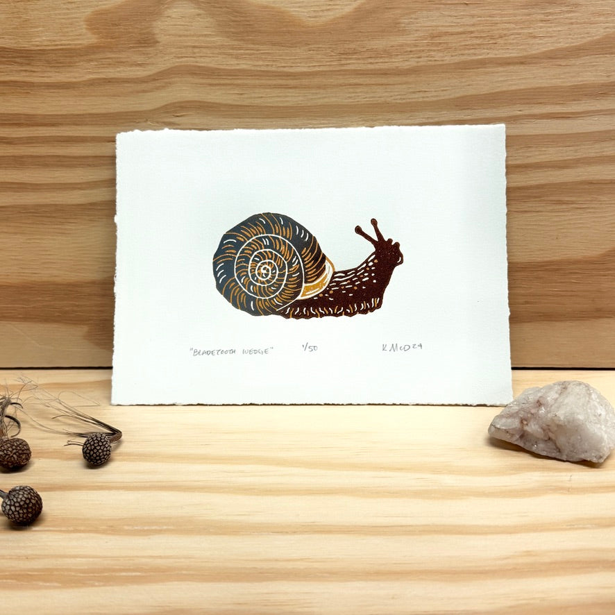 Bladetooth Wedge Snail - woodblock print (5x7")