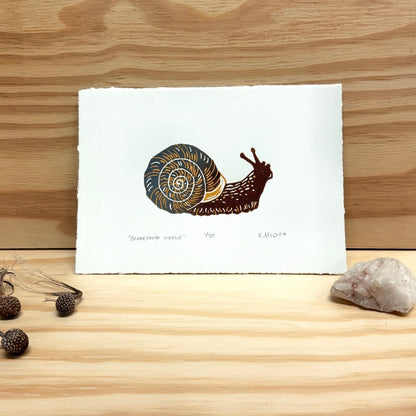 Bladetooth Wedge Snail - woodblock print (5x7")