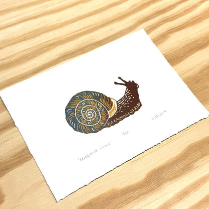 Bladetooth Wedge Snail - woodblock print (5x7")