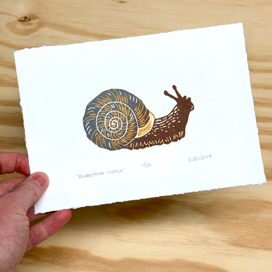 Bladetooth Wedge Snail - woodblock print (5x7")