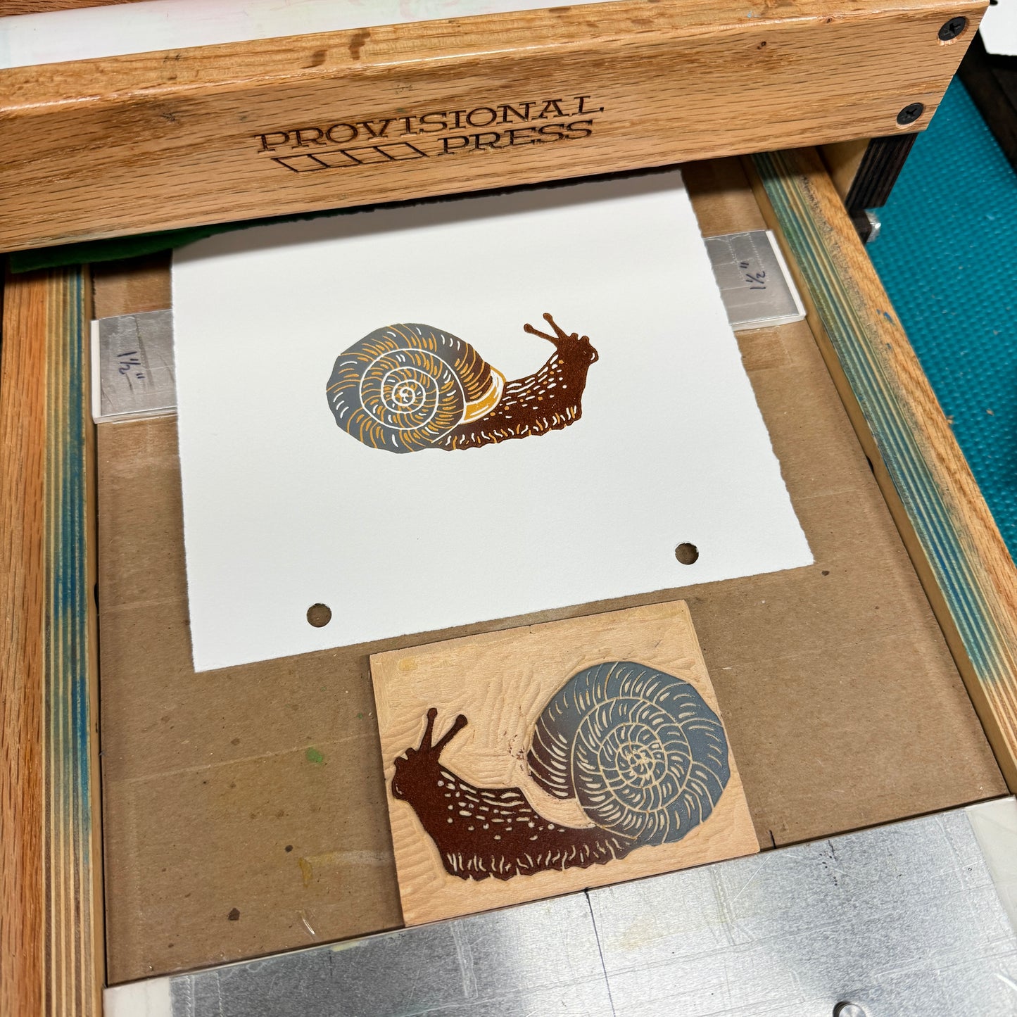 Bladetooth Wedge Snail - woodblock print (5x7")