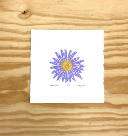 Aster Flower - woodblock print (8x8")