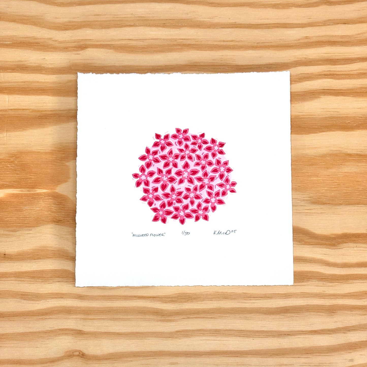 Milkweed Flower - woodblock print (8x8")