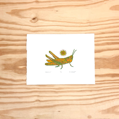 Admire Me Grasshopper - woodblock print (9x12")