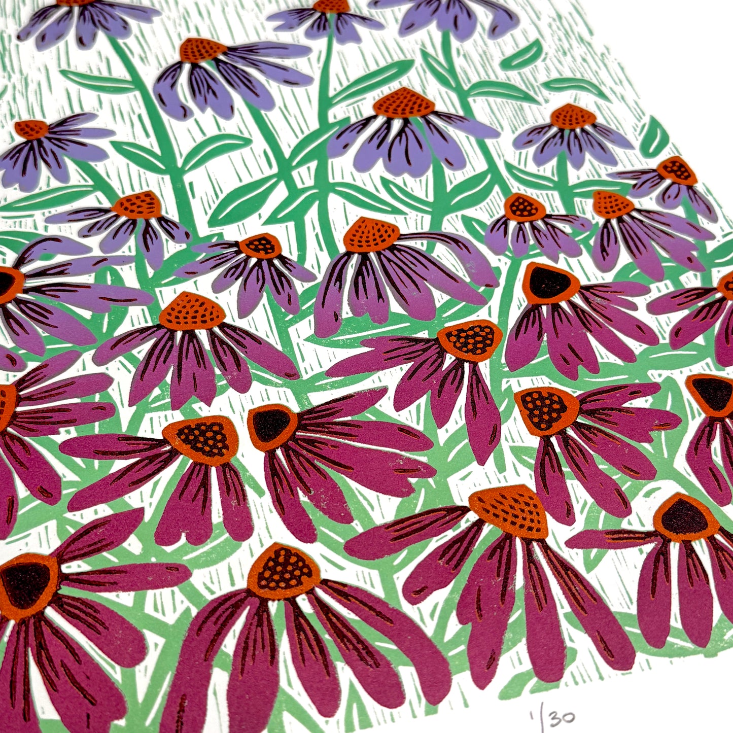 Coneflower Dance - woodblock print (14x18")