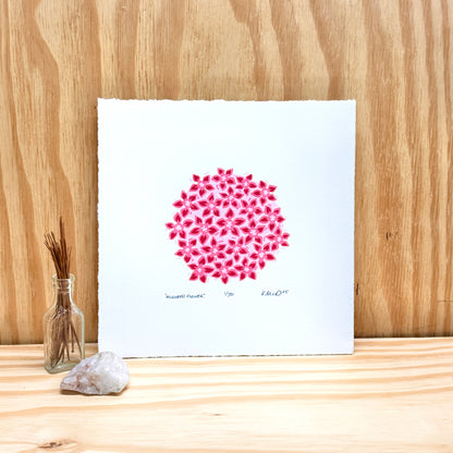 Milkweed Flower - woodblock print (8x8")