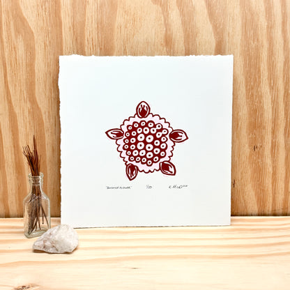 Quinine Flower - woodblock print (8x8")