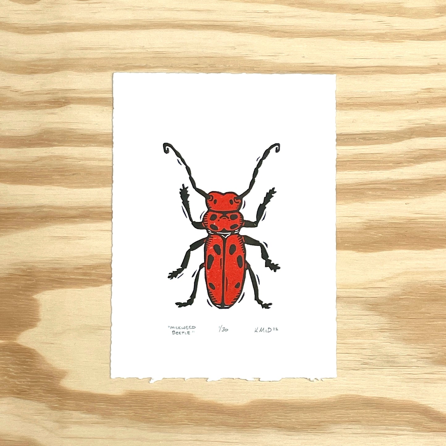 Milkweed Beetle - woodblock print (5x7")