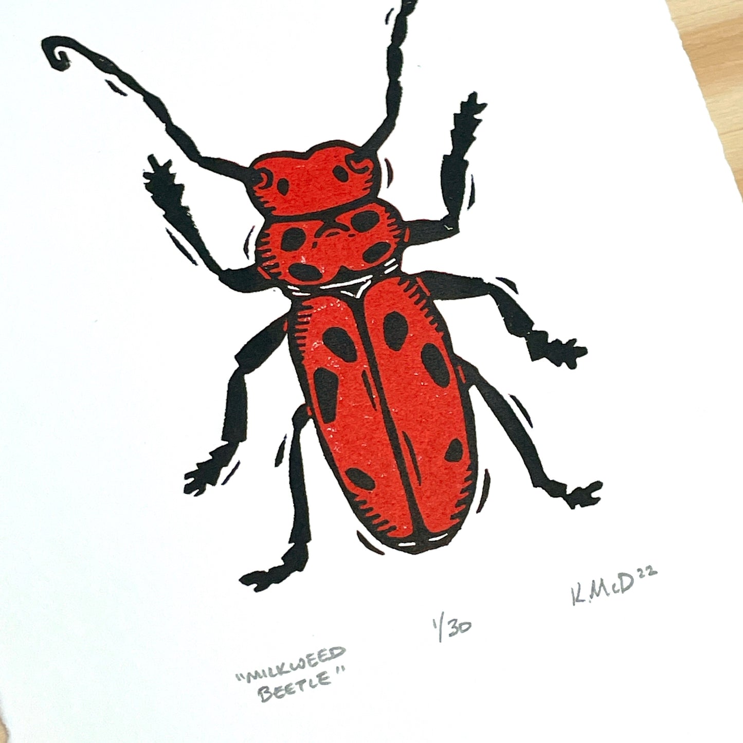 Milkweed Beetle - woodblock print (5x7")