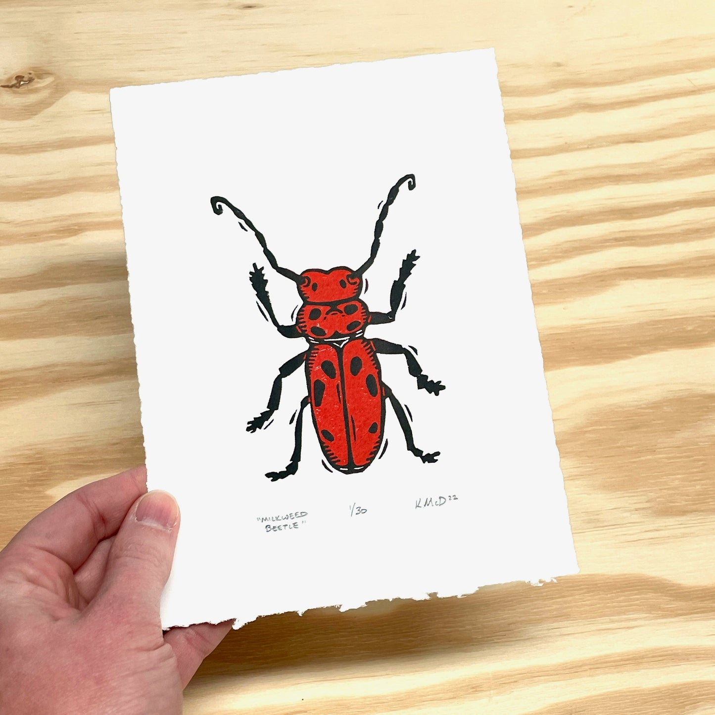 Milkweed Beetle - woodblock print (5x7")