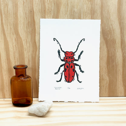 Milkweed Beetle - woodblock print (5x7")