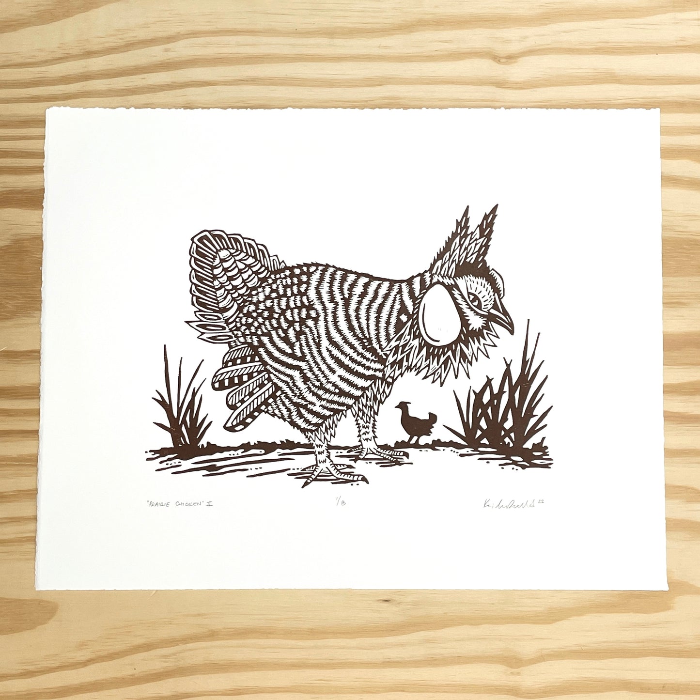 Prairie Chicken brown outline only - woodblock print (14x18")