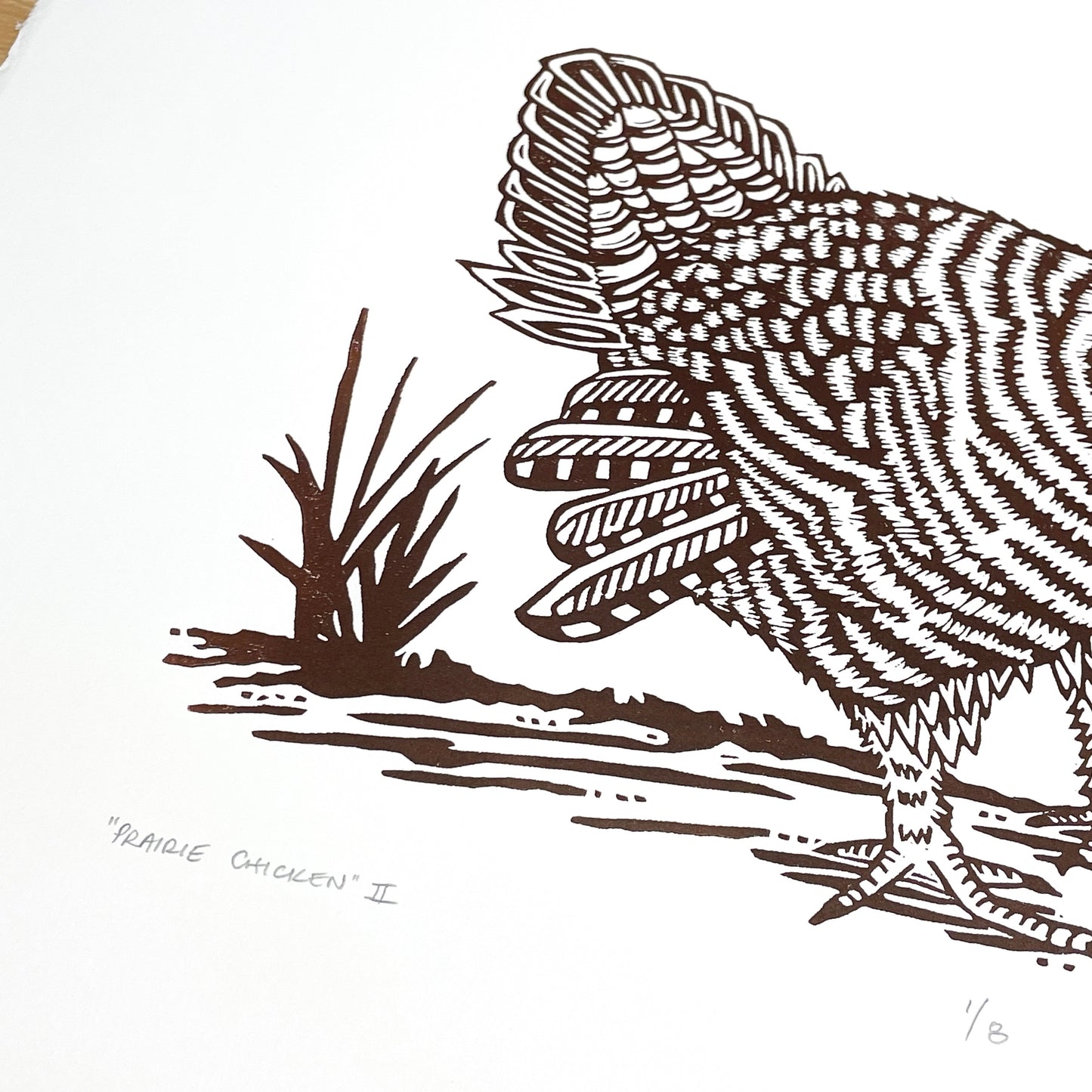 Prairie Chicken brown outline only - woodblock print (14x18")