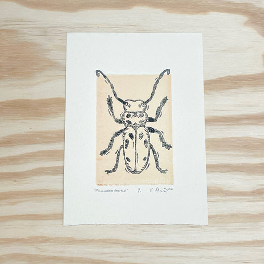 Milkweed Beetle GHOST PRINT - woodblock print (5x7")