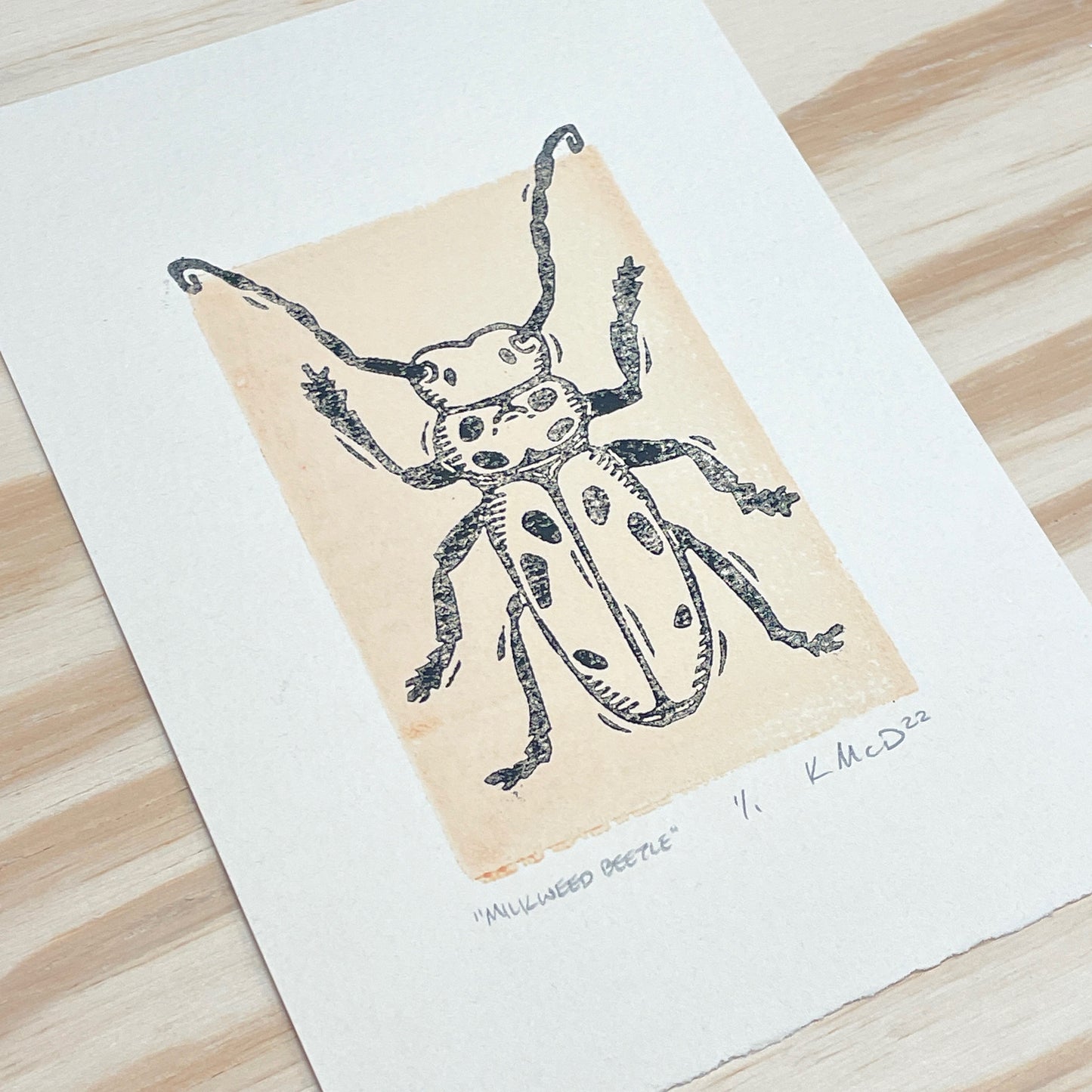 Milkweed Beetle GHOST PRINT - woodblock print (5x7")