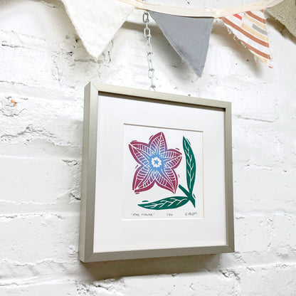Star Flower FRAMED - woodblock print (8x8")