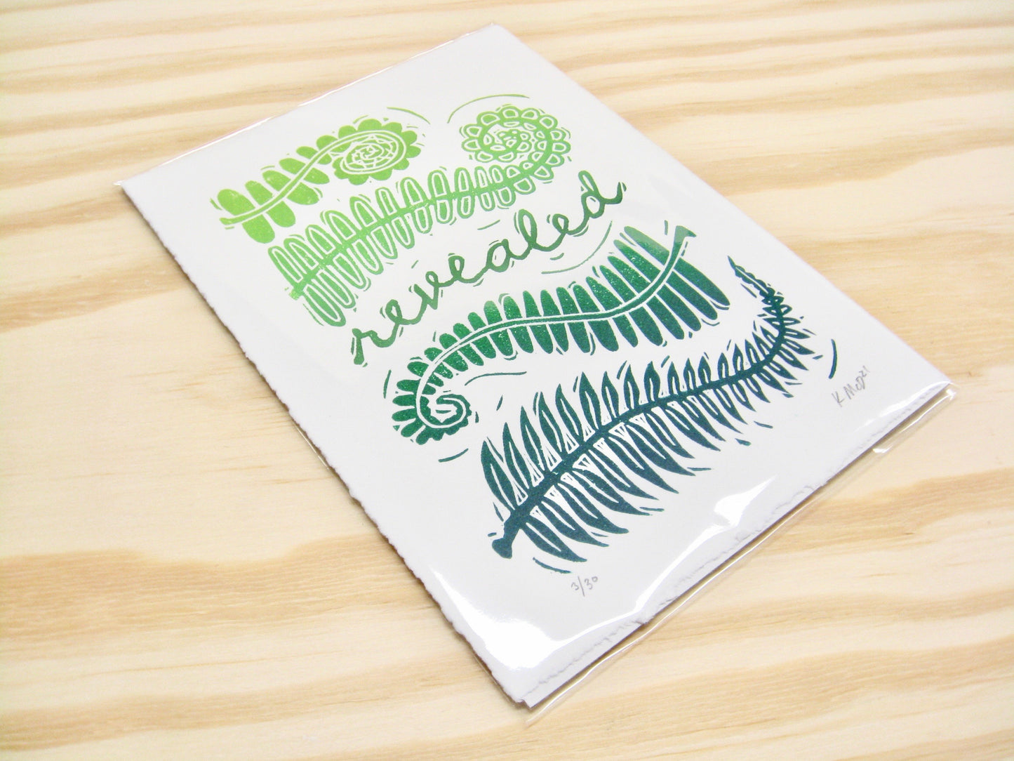 Revealed Ferns - woodblock print (5x7")