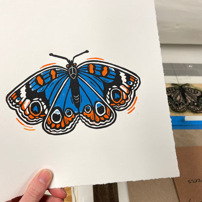 Buckeye Butterfly - woodblock print (8x8")